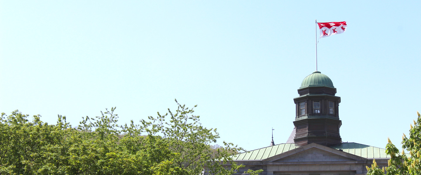 Areas Of Study School Of Continuing Studies Mcgill University