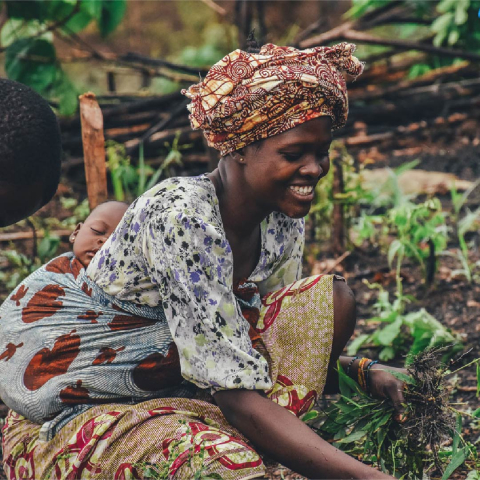 MotherFood International Internship