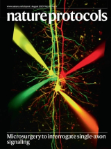 Image: Hovy Wong, McGill University and The Chinese University of Hong Kong. Cover design: S. Harris