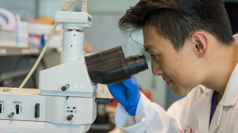 Student looking through microscope