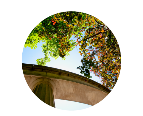 Roddick gates with trees