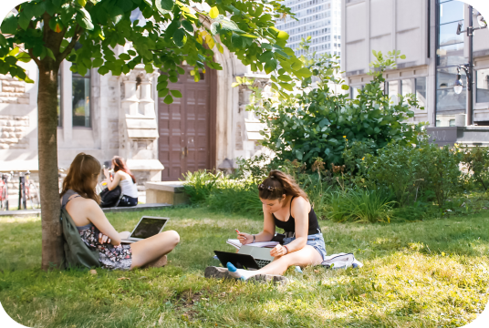 female students working on their laptops under a tree