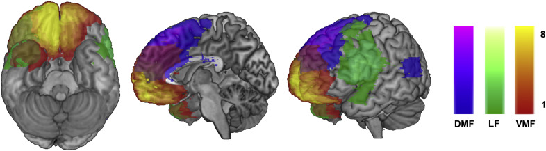 figure subdivision of the frontal lobe