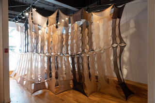 Maria Ezcurra Invisible installation (image: patterned panty hose)