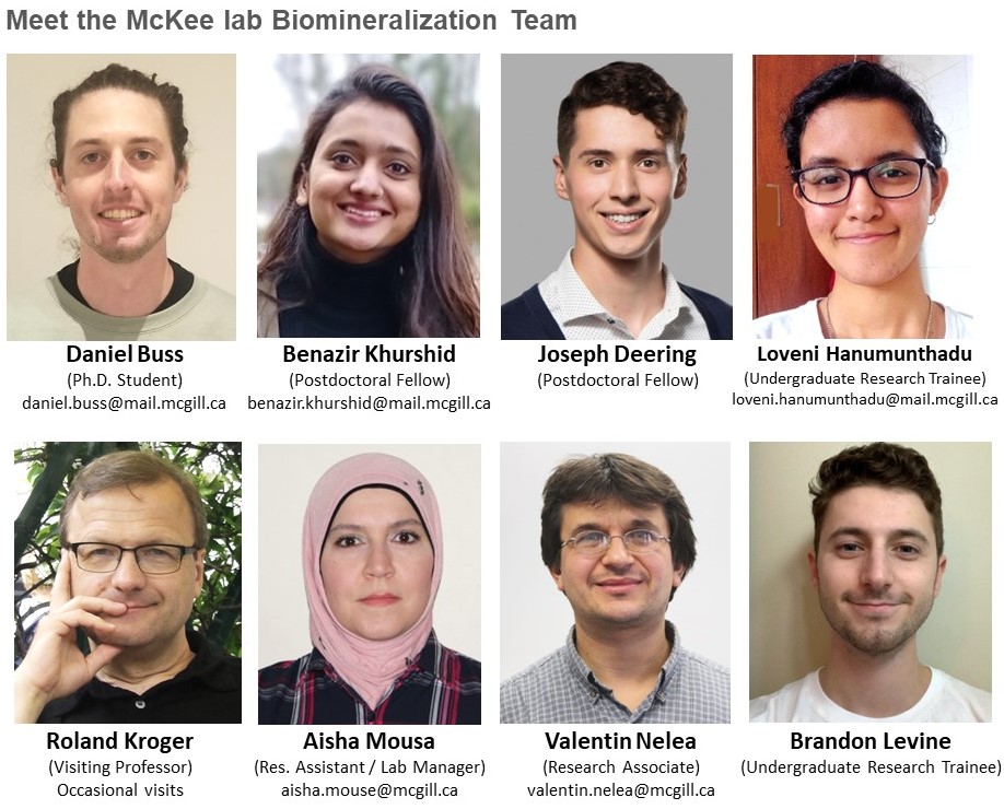 McKee Lab Biomineralization Team