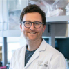 Lorne Schweitzer