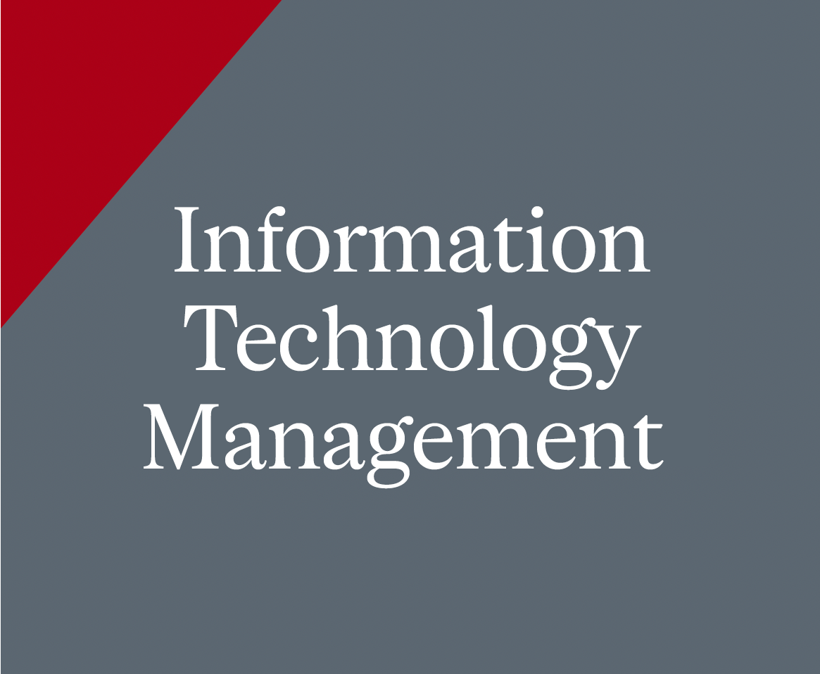 Information Technology Management