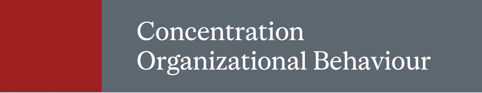 Concentration Organizational Behaviour