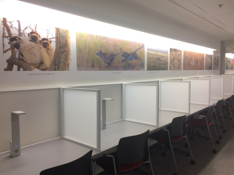 Desautels Alumnus Terry Jackson’s Wildlife Photography Brings Life to Armstrong Building Desautels Alumnus Terry Jackson’s Wildlife Photography Brings Life to Armstrong Building