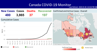 Desautels Students Create Dashboard To Track Covid 19 Cases In Canada Desautels Faculty Of Management Mcgill University