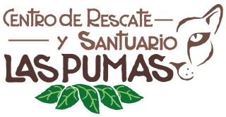 Centro de Rescate y Santuario Las Pumas Logo