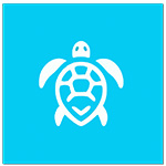Ocean Microplastics Logo
