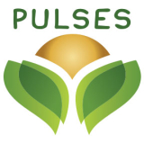Convergent Innovation Webinar Series: Pulse Program