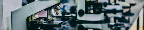 Microscopes in a lab lined up