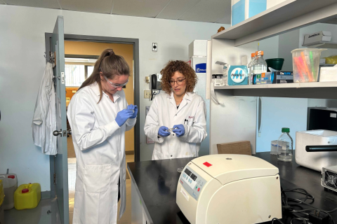 two women in lab coats inspecting a petri dish