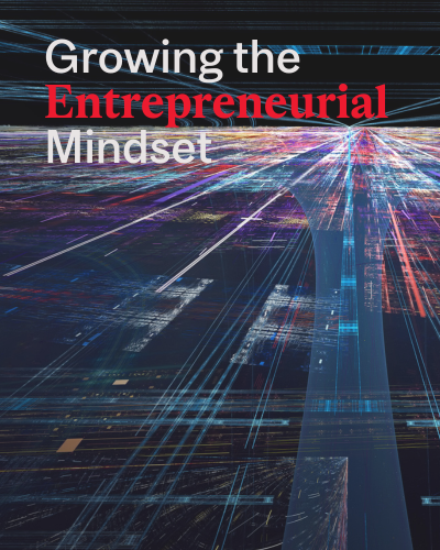 Growing the Entrepreneurial Mindset