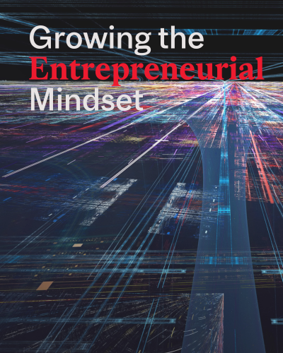 Growing the Entrepreneurial Mindset