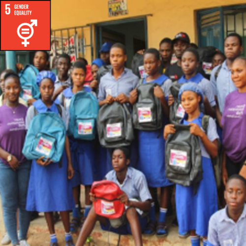 Smart Innovation Hub - SDG Goal #5: Gender Equality