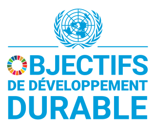 Objectifs de développement durable (ODD) de l’Organisation des Nations Unies