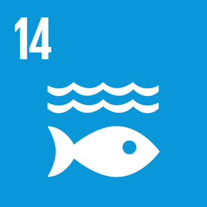#14 Vie aquatique
