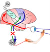 Neural Prosthetics Lab