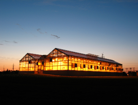 Greenhouse at twilight - Image by: V. Sosle