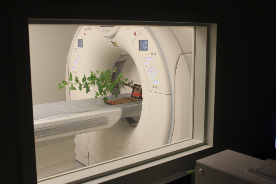 From the console room, light on in the CT scanner room and light off in the console room.