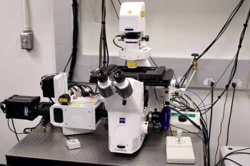 Zeiss Spinning Disk confocal microscope and TIRF