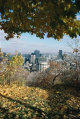 View of Montreal through trees on Mont-Royal