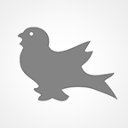 Blackbird