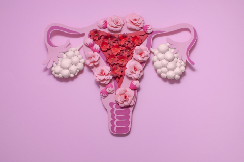 Artistic depiction of a uterus. 