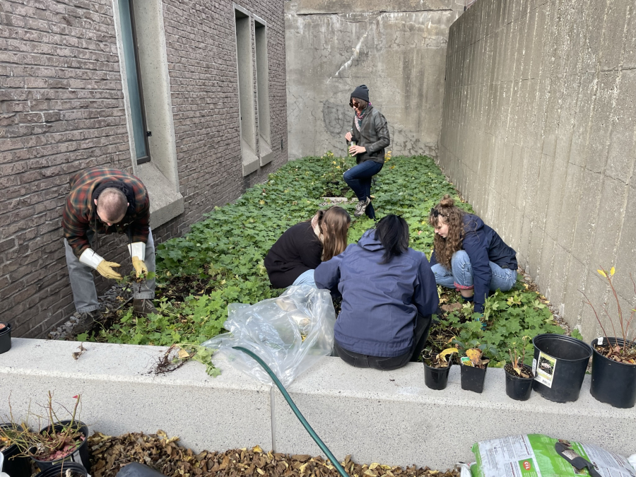 Education Community Garden Photo