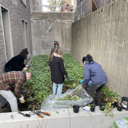 Education Community Garden Photo