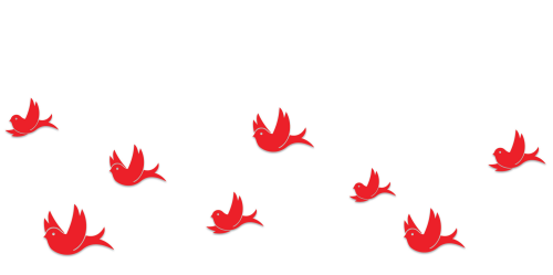McGill Martlets illustration