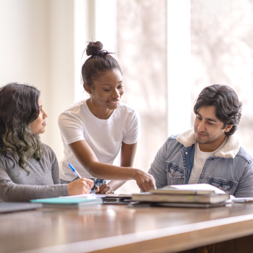 Students studying