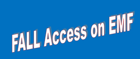 FALL access icon