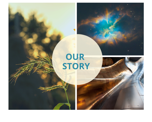Collage of photos, leaf, metal, plasma with the title our story