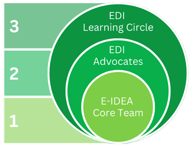A diagram of EDI Advocacy Program structure 