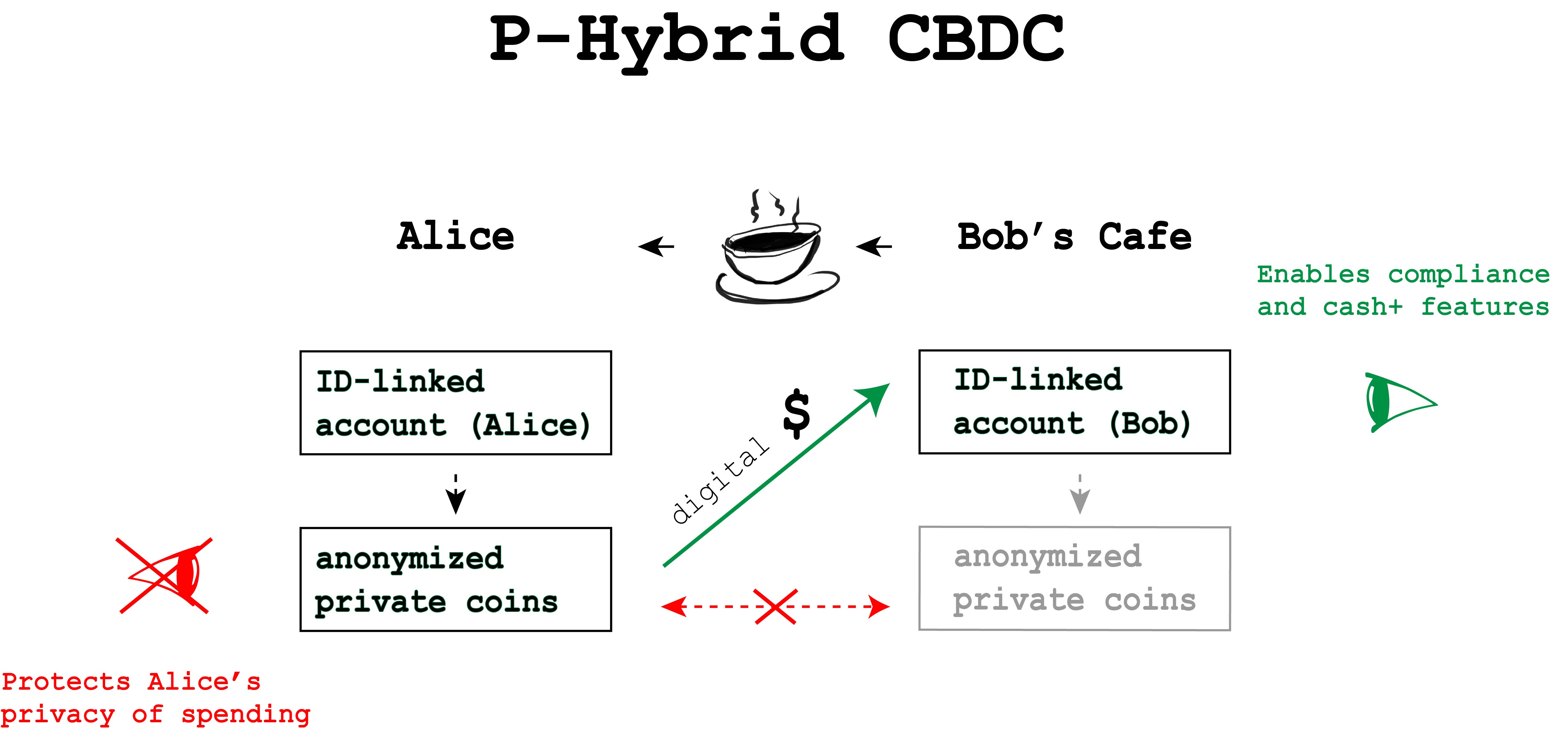 Visualization detailing Privacy-Hybrid CBDC