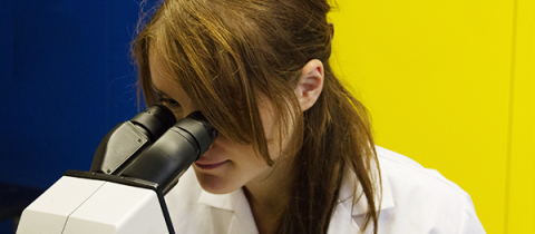 A student looking into a laboratory equipment