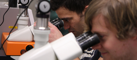 2 students looking into microscopes
