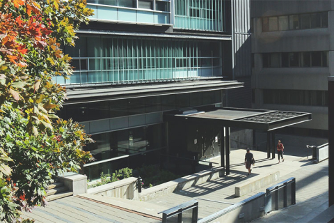 Trottier building on a sunny day