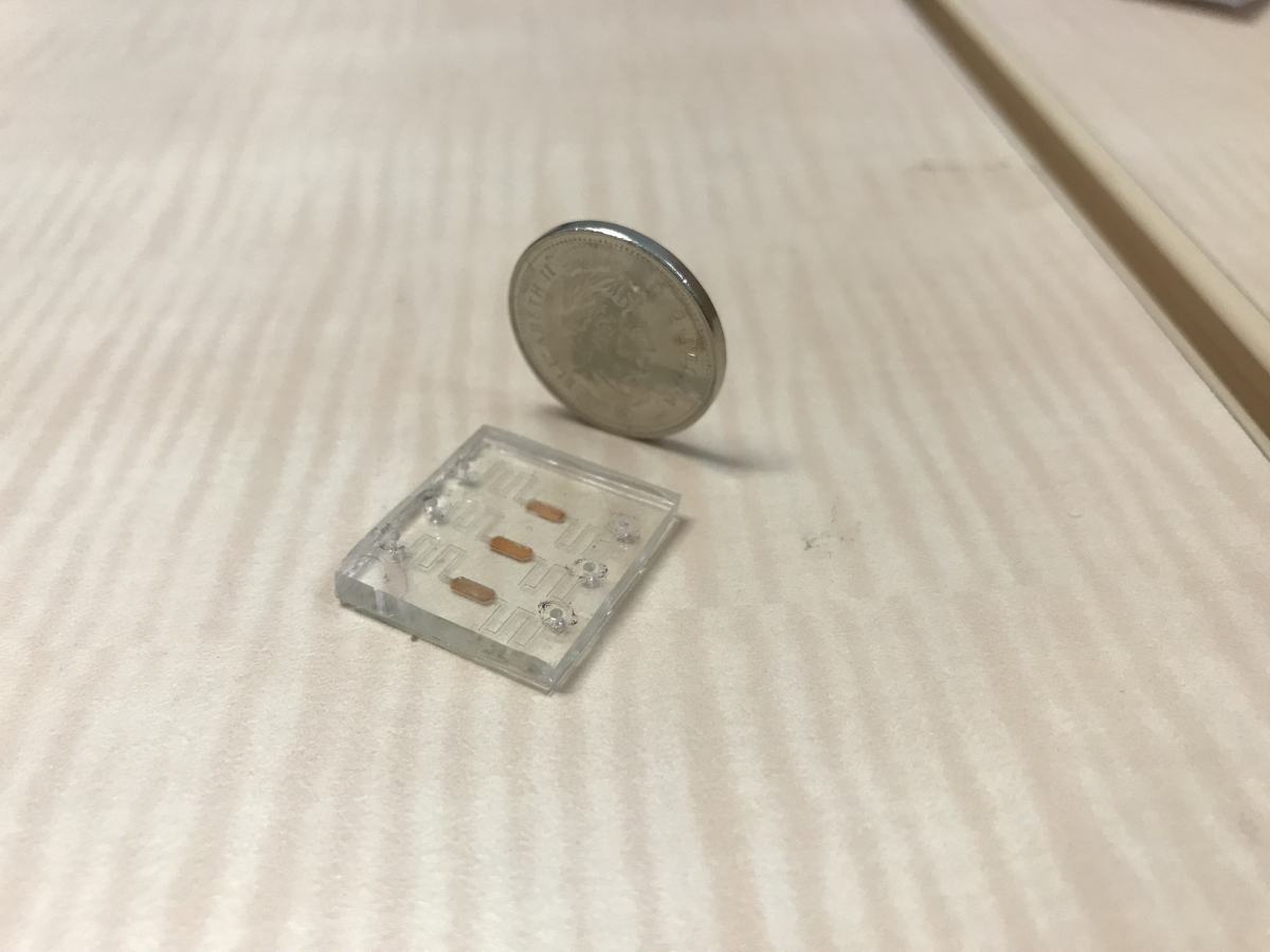 A nano-sized traps device next to a standing coin
