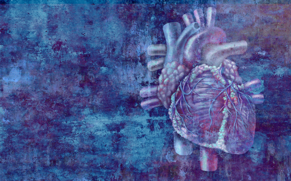 Painting of a human heart in purple, blue tones