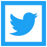 Twitter logo (a blue bird in a square)