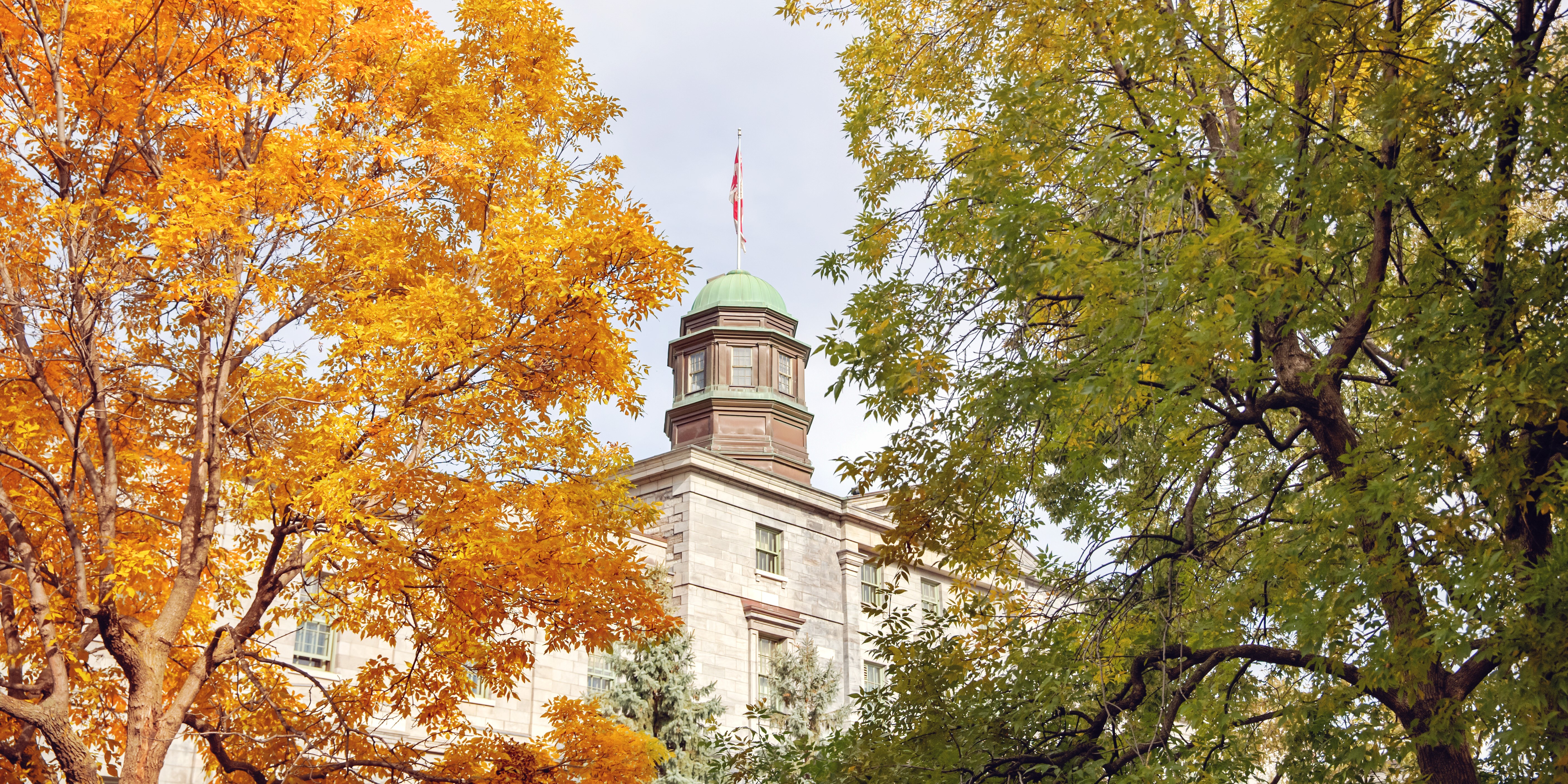 Arts building cupola framed by autumn foliage
