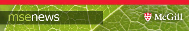 msenews banner