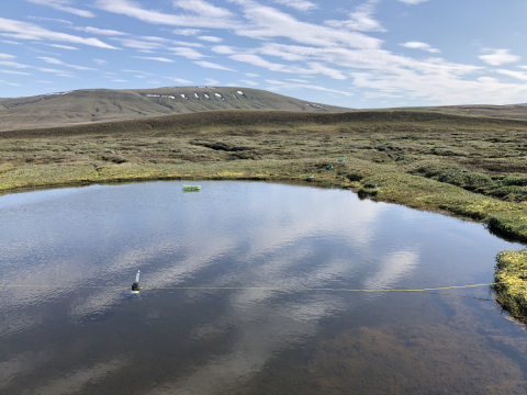 One of the ponds sampled for this study. Photo by Peter Douglas