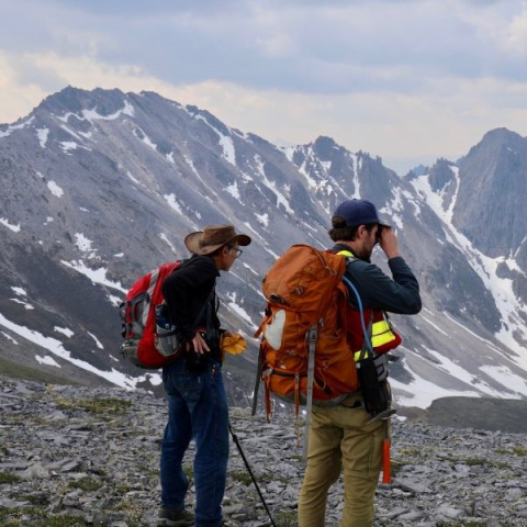 Yukon Ogilvie Mountain 