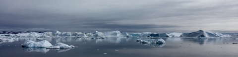 arctic landscape, icebergs and water